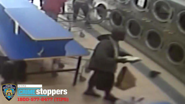Bronx Laundromat Groping Suspect 
