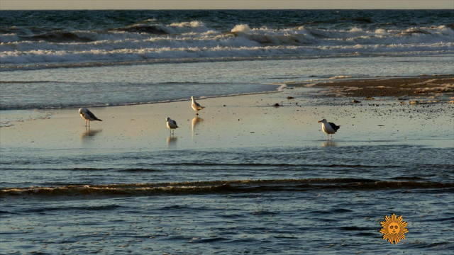 nature-cape-cod-national-seashore1920-509481-640x360.jpg 