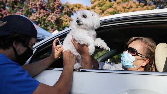 GettyImages-1251651766.jpg 