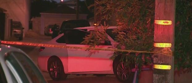 Man Found Shot To Death In Crashed Car In Willowbrook 