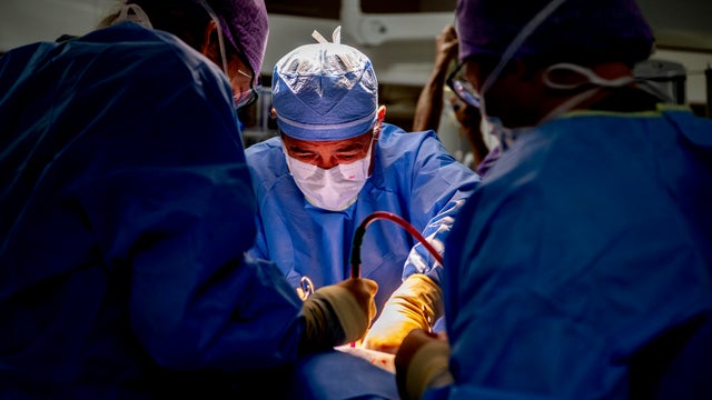 Medical procedures cost 