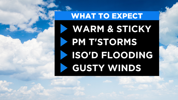 SkyCast What To Expect 4 Line 4 