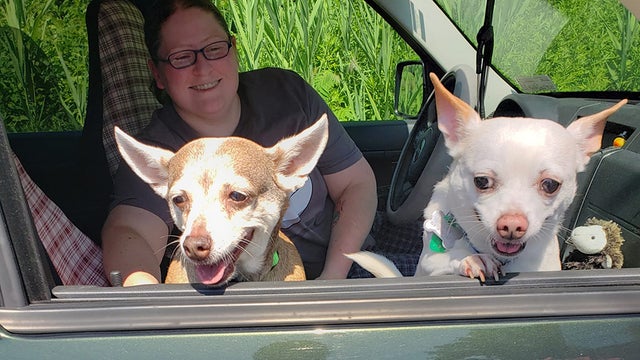 olddogadopted.jpg 