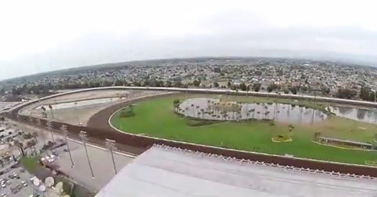 Horse Euthanized After Going Down During Last Saturday Night Race At ...