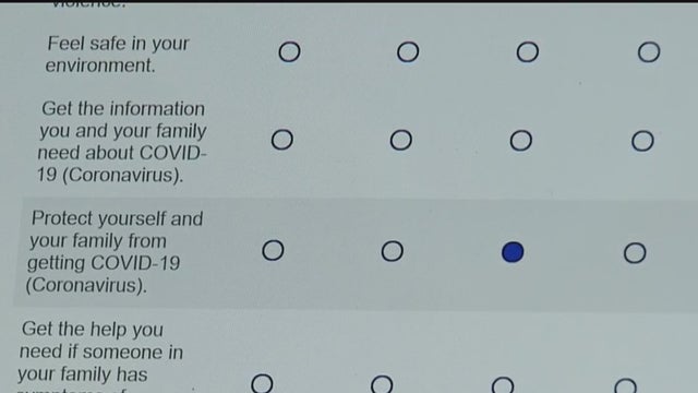 survey.jpg 