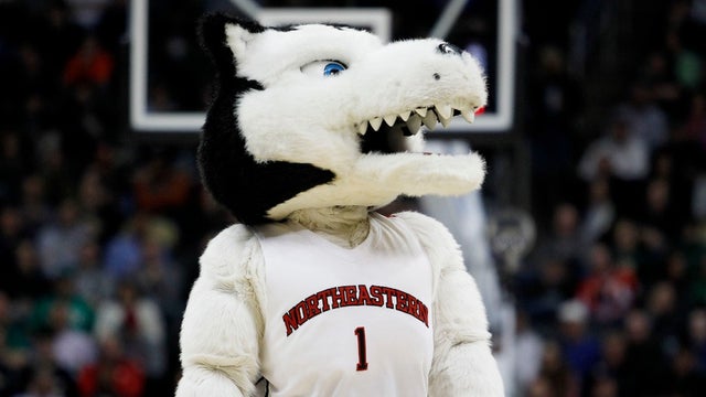 northeastern-1.jpg 