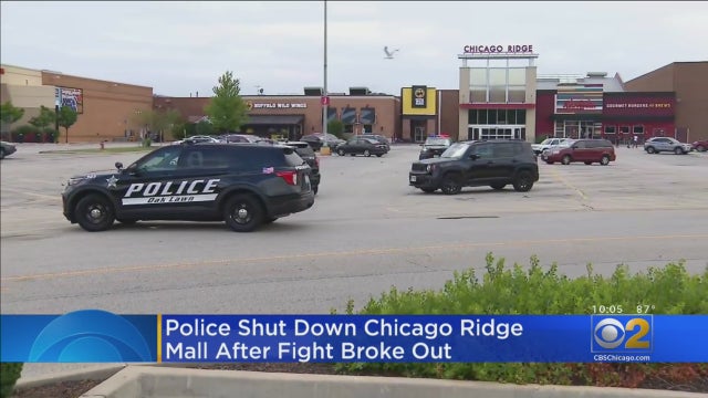 ChicagoRidgeMallFight.jpg 