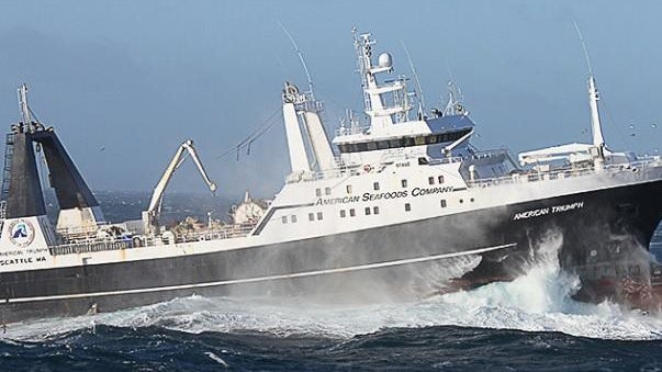 american-triumph-fishing-vessel-owned-by-american-seafoods-company.jpg 