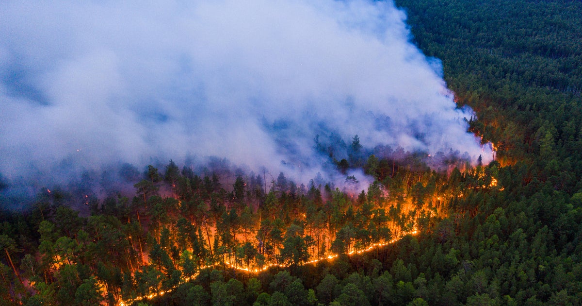 Zombie fires