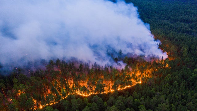 Climate Emergency in Siberia 2020 