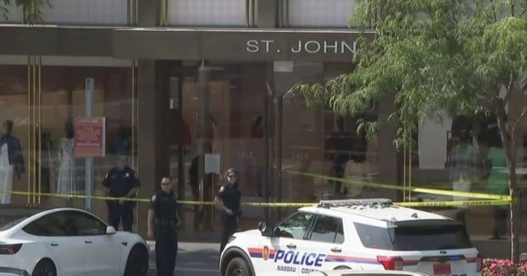 Man Arrested In Connection To Shooting Near Americana Manhasset Mall ...