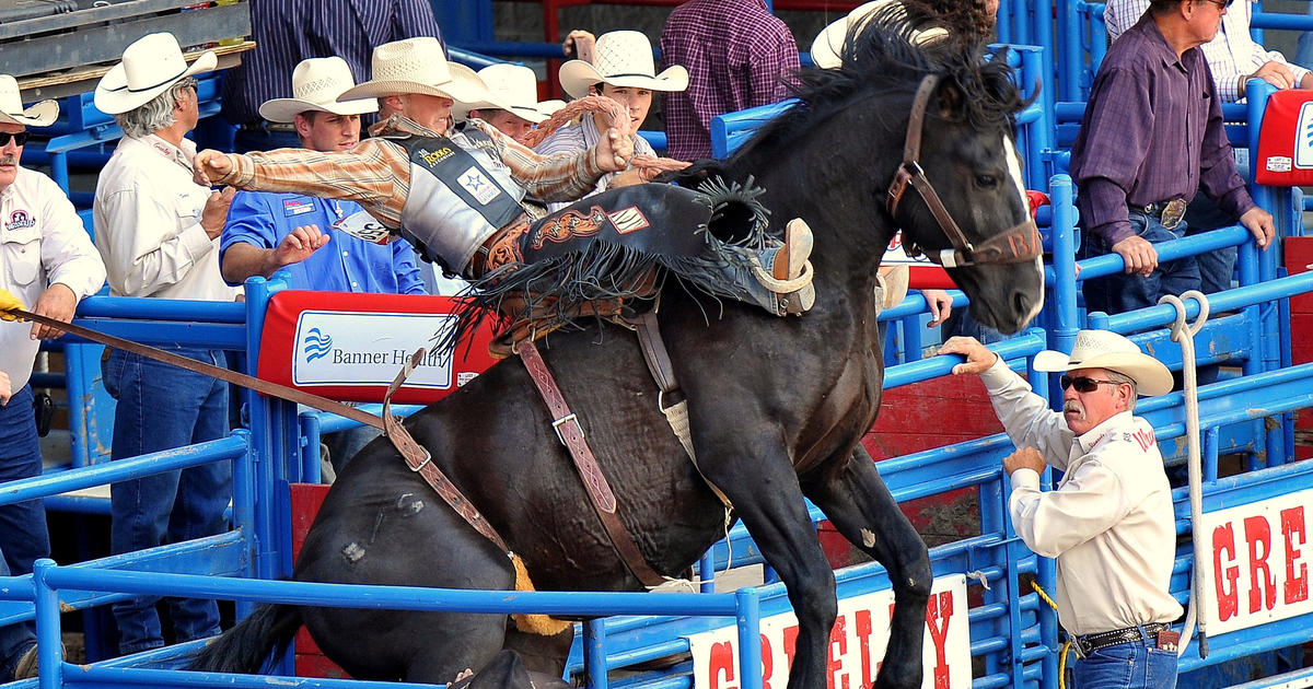 Greeley Stampede Will Host National Circuit Finals Rodeo In September