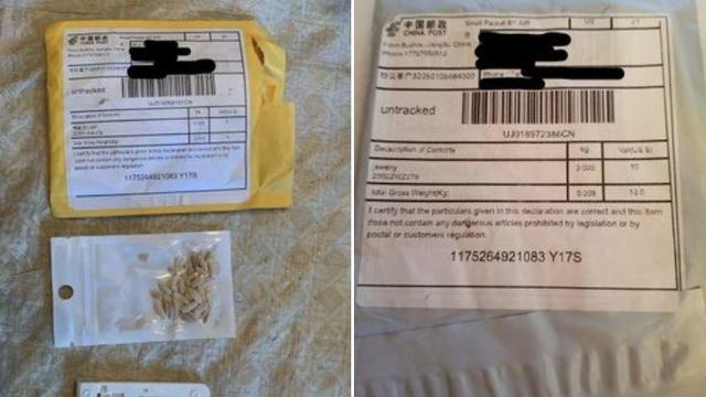 seeds-from-china-maryland.jpg 