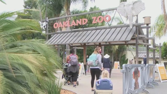 Oakland-Zoo.jpg 