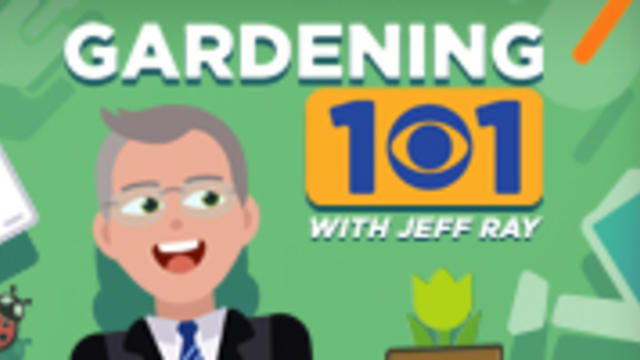 Gardening-101-Web.jpg 
