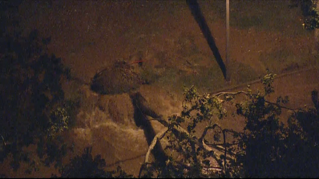 roosevelt boulevard water main break 