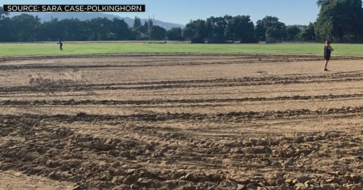 Vacaville Parents, Coaches Upset After They Say Softball Fields Were