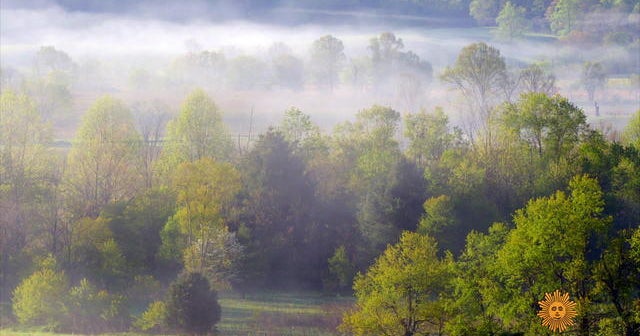Nature: Great Smoky Mountains National Park - CBS News