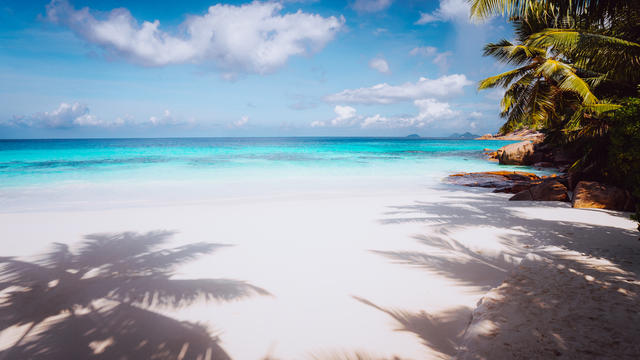 storyblocks-idyllic-perfect-tropical-dream-beach-powdery-white-sand-crystal-clear-water-summertime-vacation-seychelles_Bye-o9OW_4.jpg 