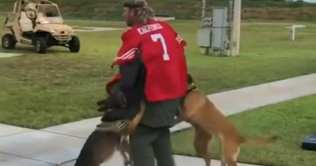 Kaepernick jersey shown in K9 dog demonstration video; Navy SEALs