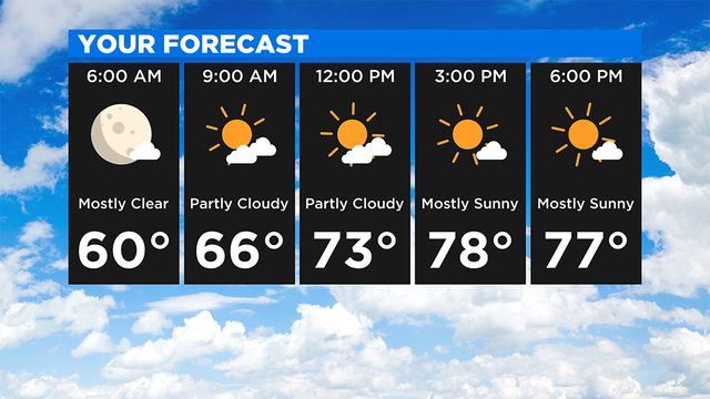 Your-Forecast.png 