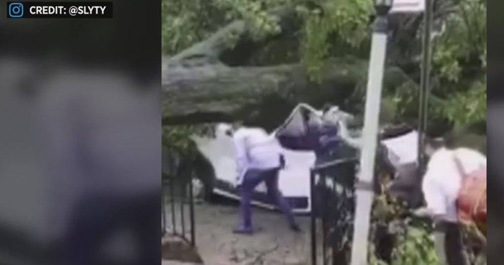 1 Dead When Tree Falls On Car As Tropical Storm Isaias Hits New York(01)