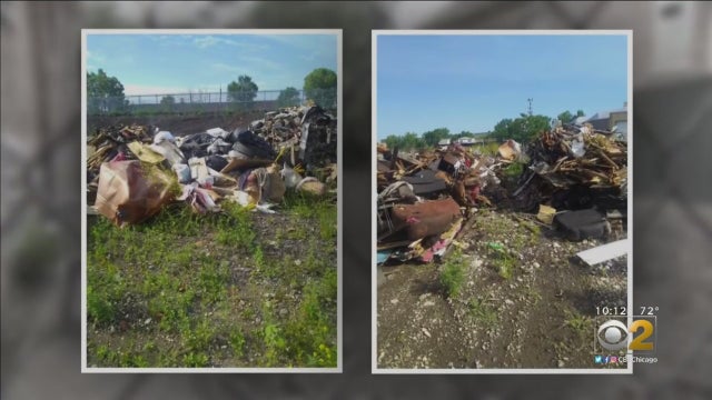 BrightonParkFlyDumping.jpg 