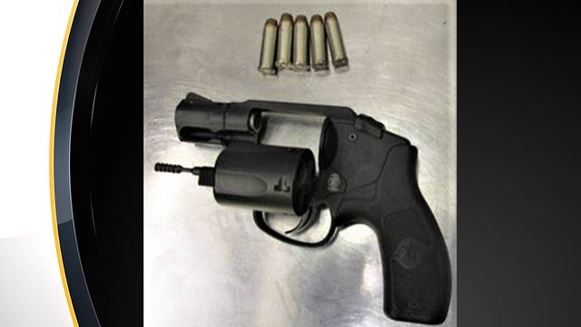 TSA-Gun.jpg 