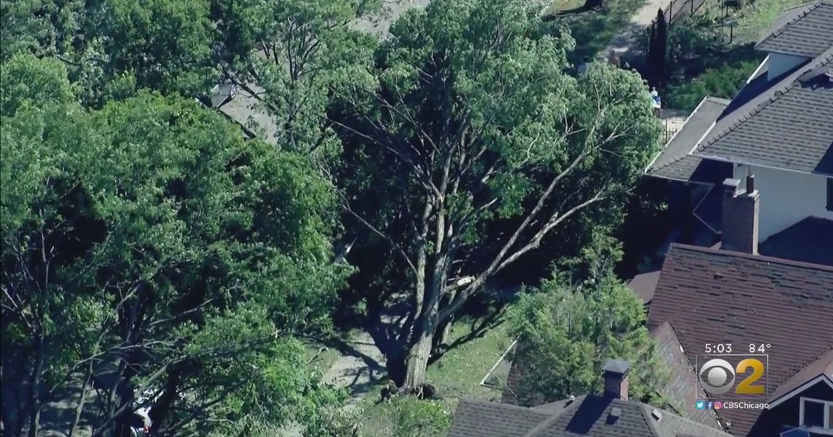 Rogers Park Residents Come Together After Tornado; 'People Just Want To ...