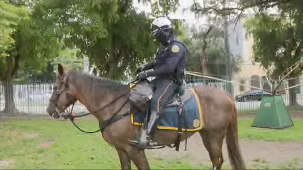 Miami Police Mounted Patrol 