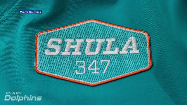 web-shula-patch_1.jpg 