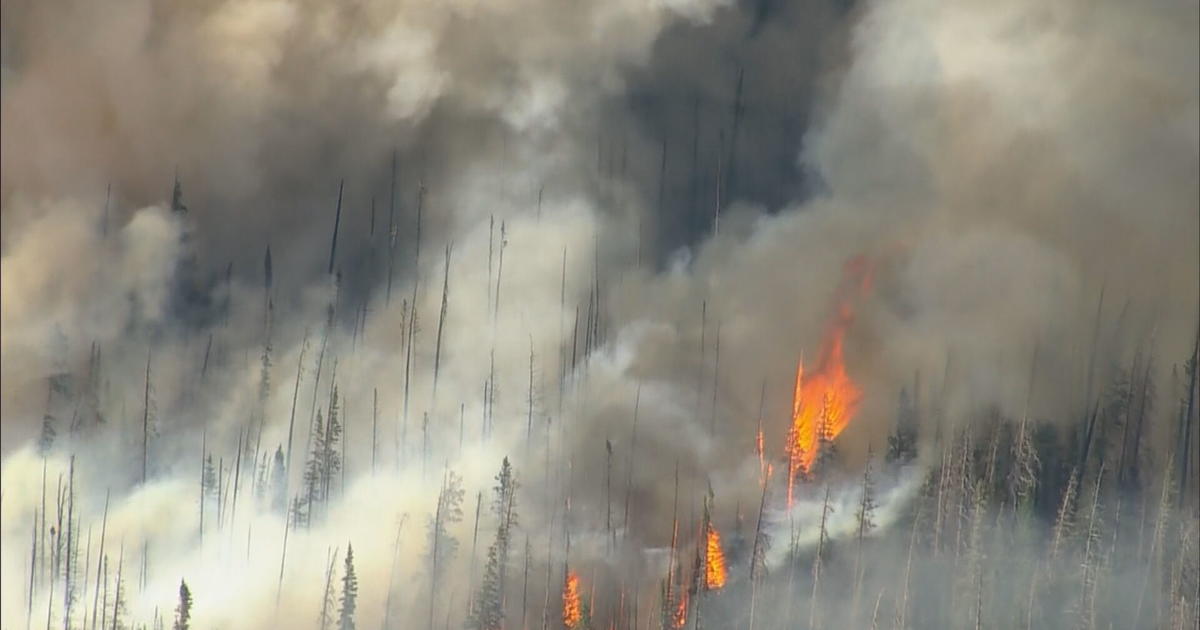 More Evacuations Ordered As Cameron Peak Fire Grows To 4,600+ Acres ...