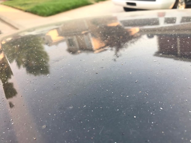 Ash On Vehicle metro wildfire ash 