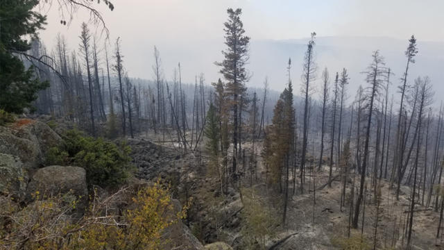 Grizzly-Creek-Fire-Burn-Area.jpg 