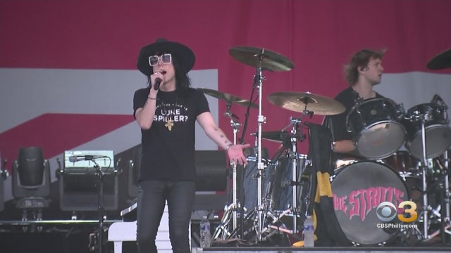 the-struts.jpg 