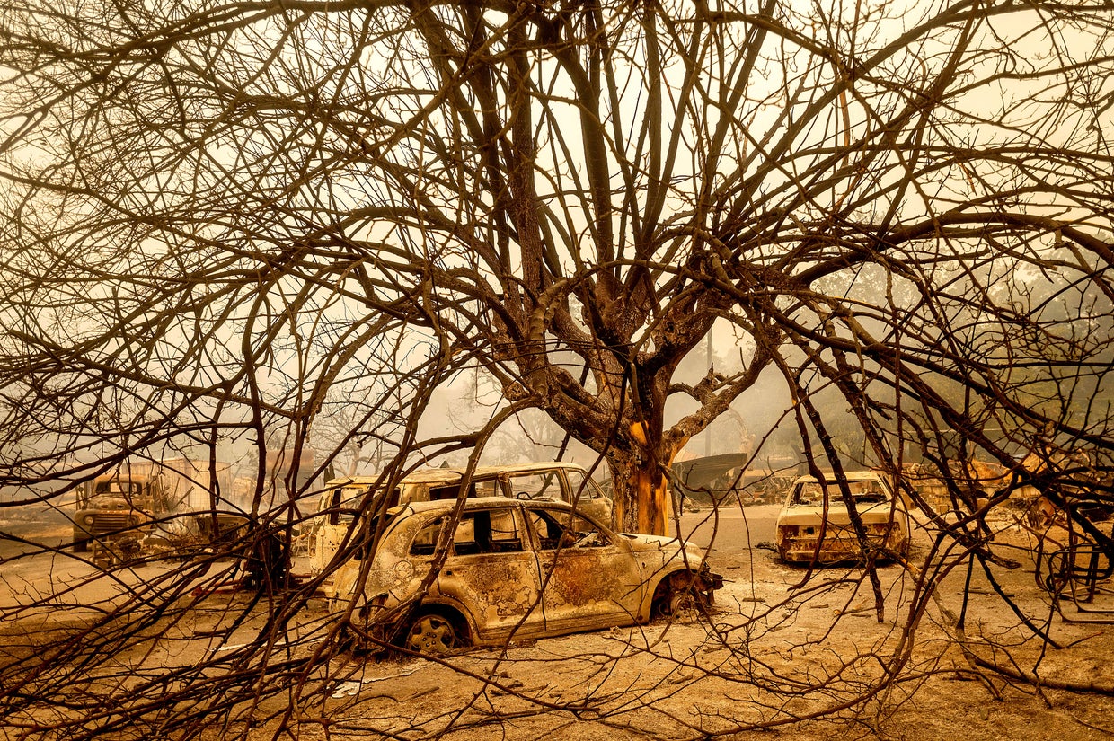 California Wildfires 