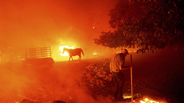 California Wildfires 