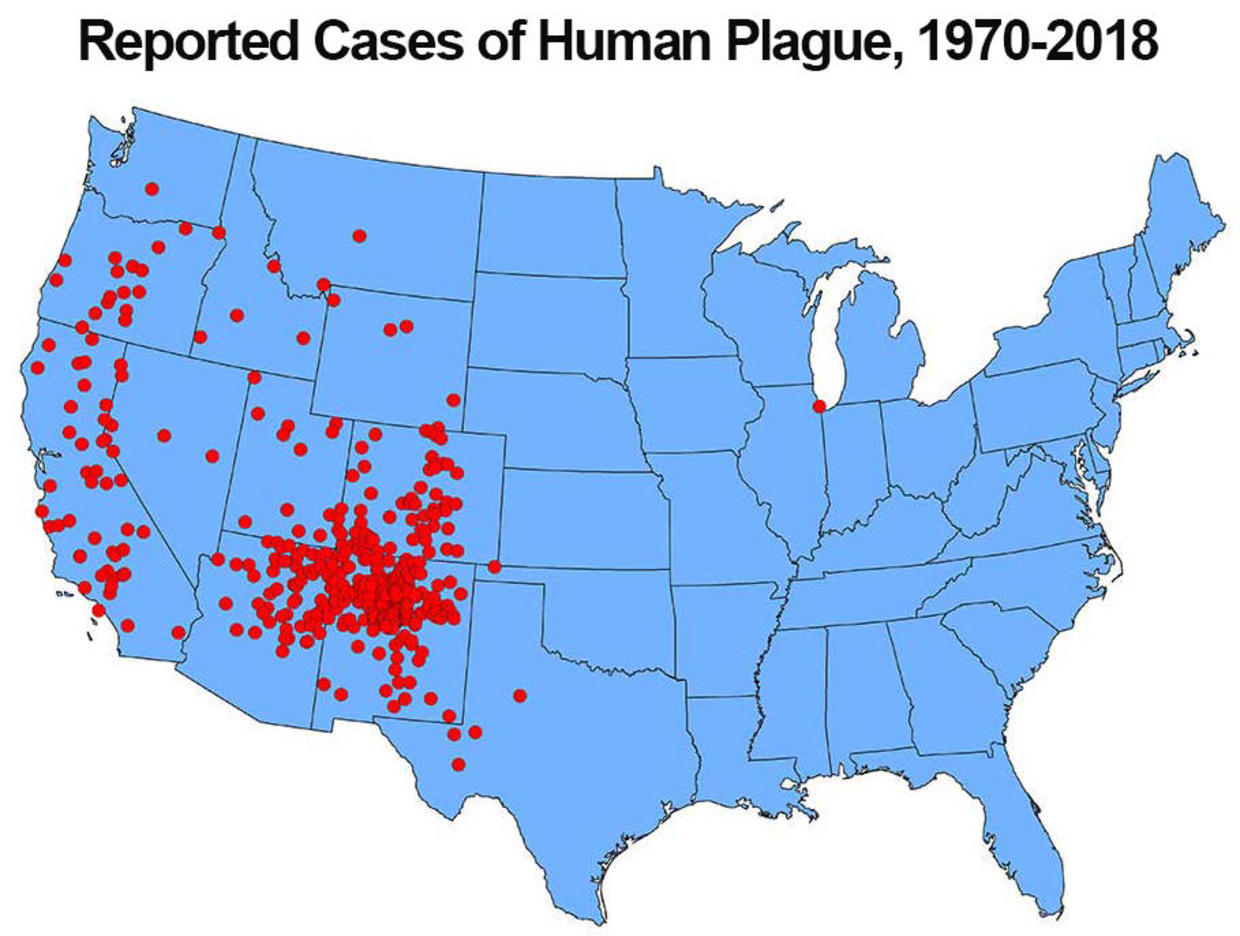 California has its first case of plague in 5 years. How likely are you