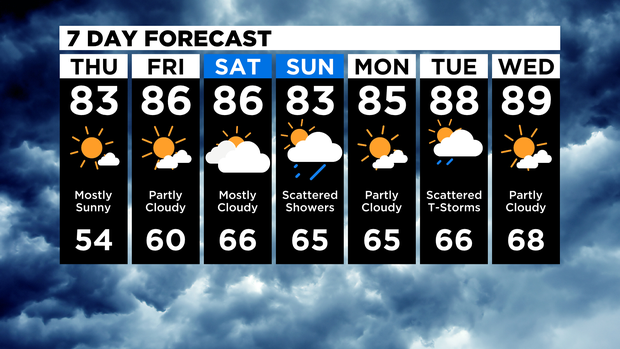 7 Day Forecast 