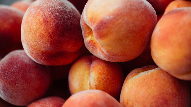 peaches-cnn-only.jpg 