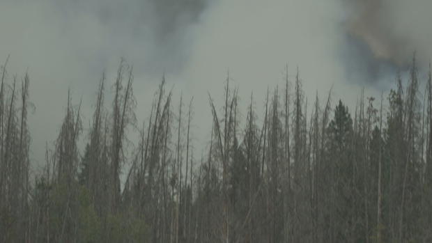 Williams Fork Fire (2) 