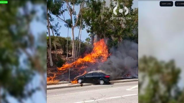 eagle-rock-crash-brush-fire.png 
