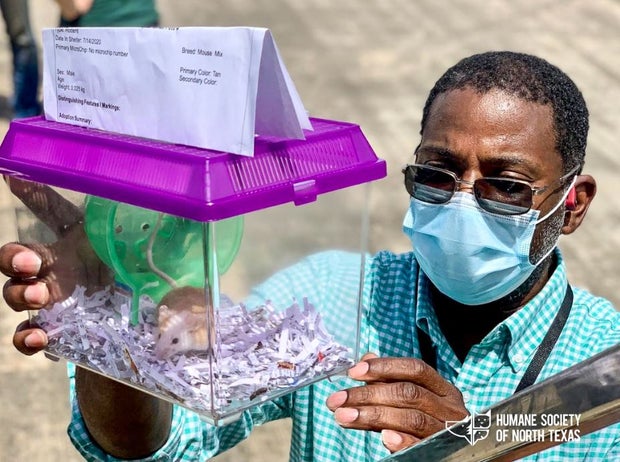 Hurricane Laura animal evacuees 3