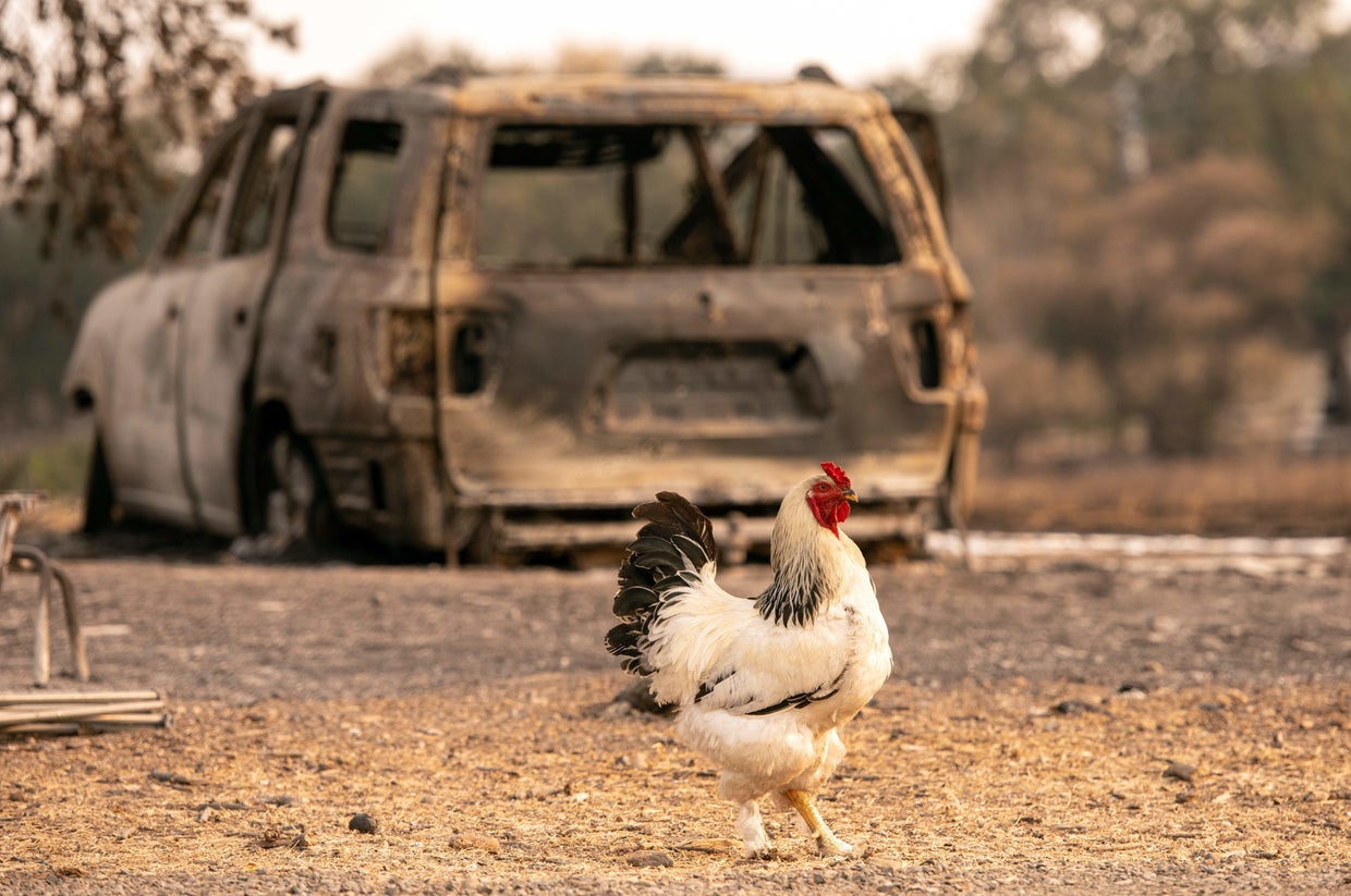 US-WILDFIRES-CALIFORNIA-fire-environment-weather 