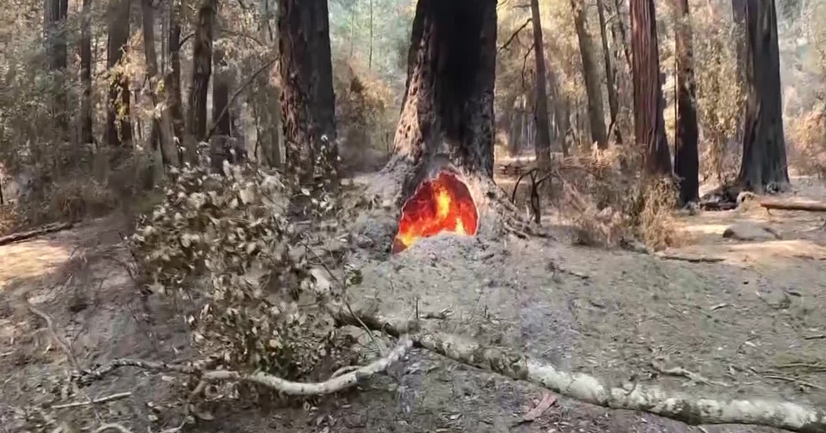 Woodward Fire: Most Evacuations Lifted; Visitors Told To Avoid Pt ...