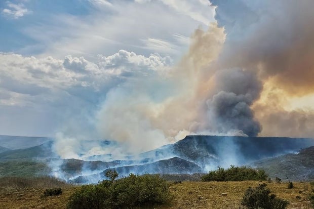 East Fork Fire 1 (credit Crystal Dreiling, CPW) 