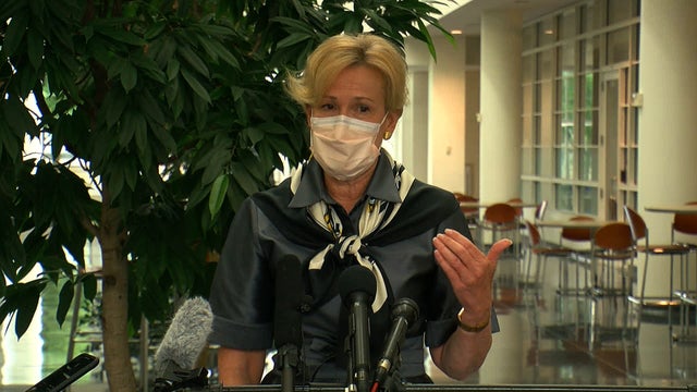 Deborah-Birx.jpg 