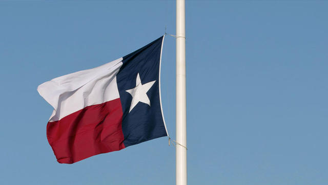 tx-flag.jpg 