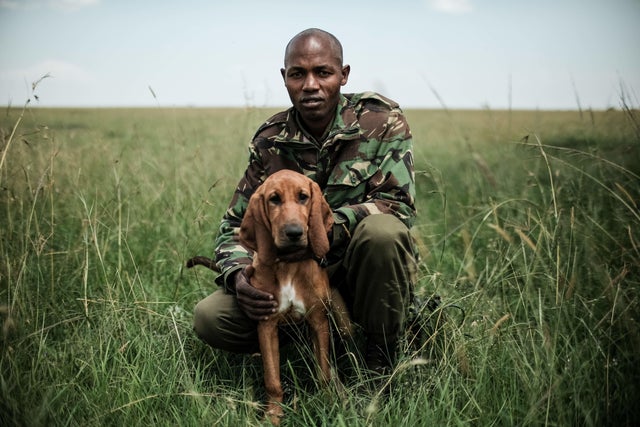KENYA-NATURE-WILDLIFE-POACHING 