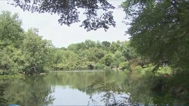 central-Park-pond.jpg 